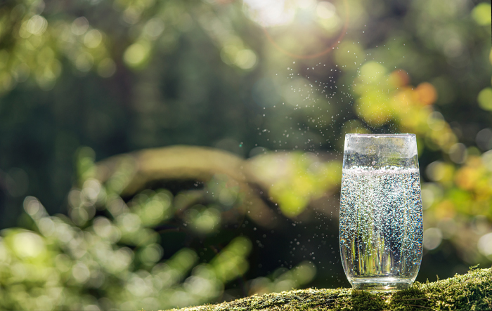 Szklanka wody w naturalnym otoczeniu – codzienne nawodnienie i równowaga elektrolitowa